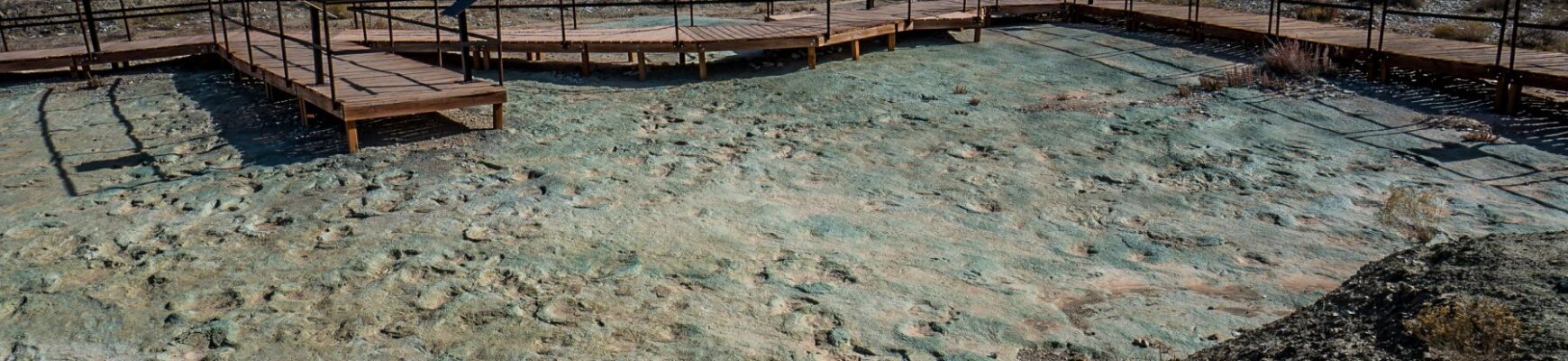 Mill-Canyon-Dinosaur-Tracksite