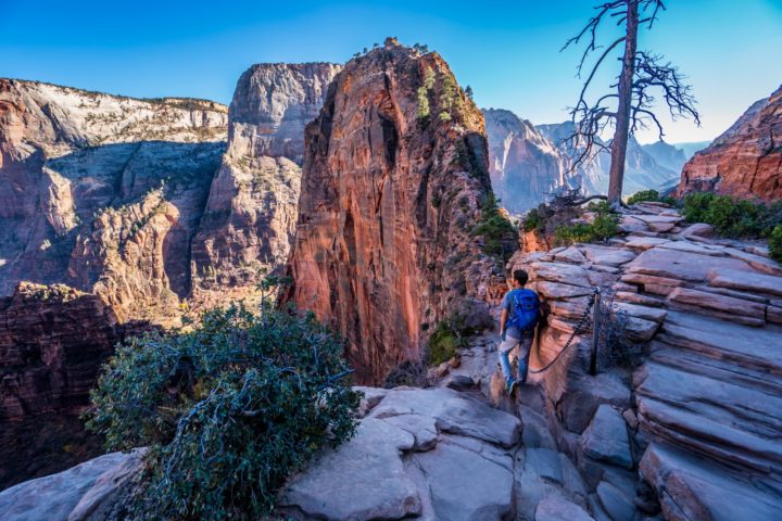 Hiking Angels Landing Trail In Zion National Park - We Love To Explore